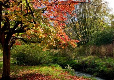 The scheme is seeing hundreds of trees and hedgerows planted