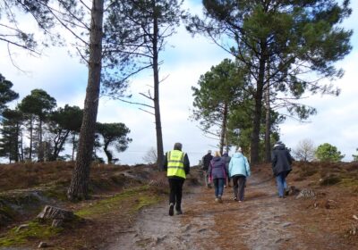 Avon Heath Country Park Walking Group