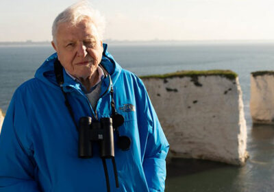 Sir David Attenborough at the Old Harry Rocks. Photo: BBC