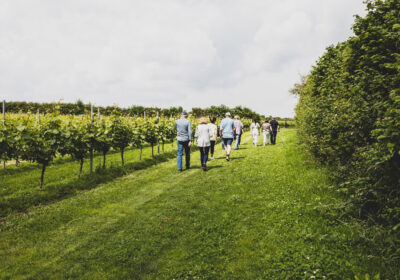 Tours are running again at the Langham Wine Estate