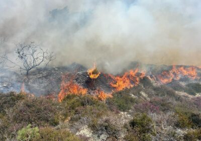 Firefighters battled the blaze at Studland all day. Pictures: Swanage Fire Station