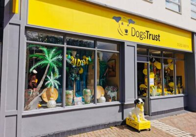 The Dogs Trust shop in Poole High Street was burgled