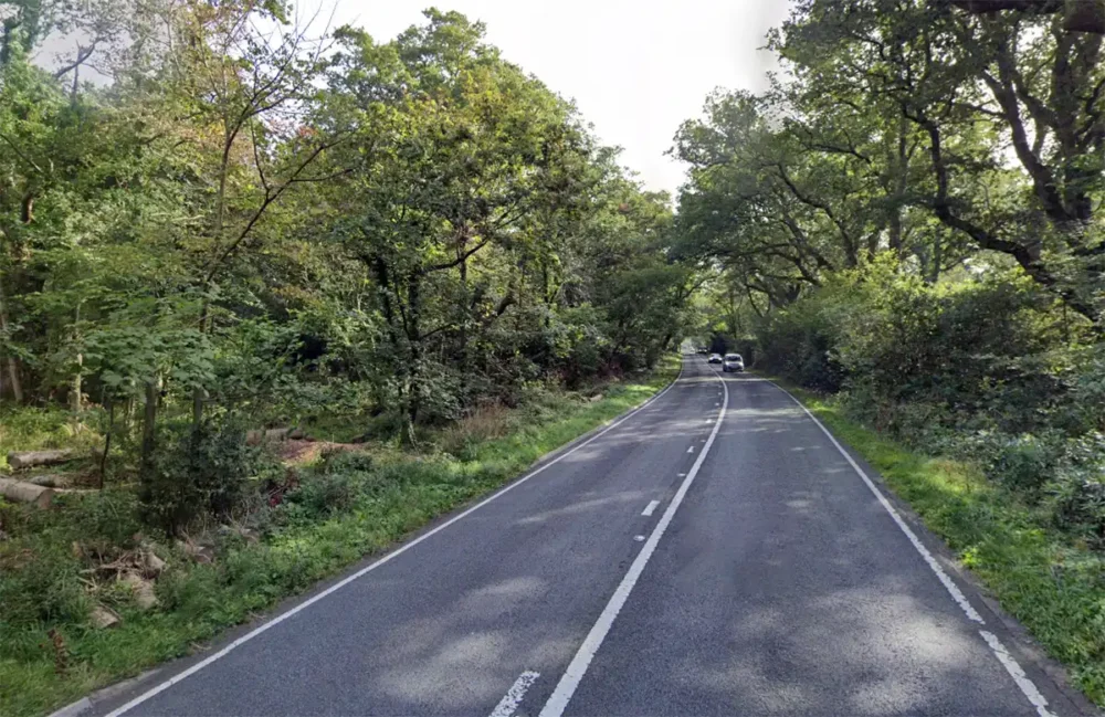 The crash happened on the A35 near Bloxworth. Picture: Google