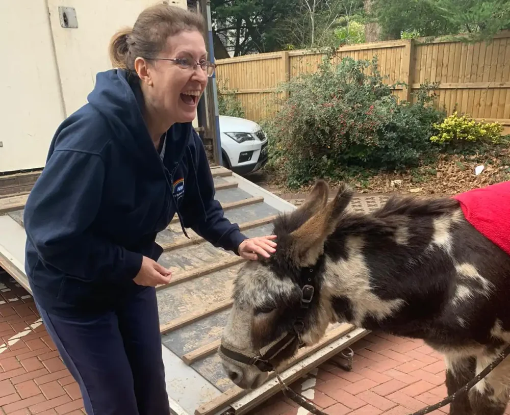 Therapy donkey Pedro charms staff at Forest Holme Hospice in Poole