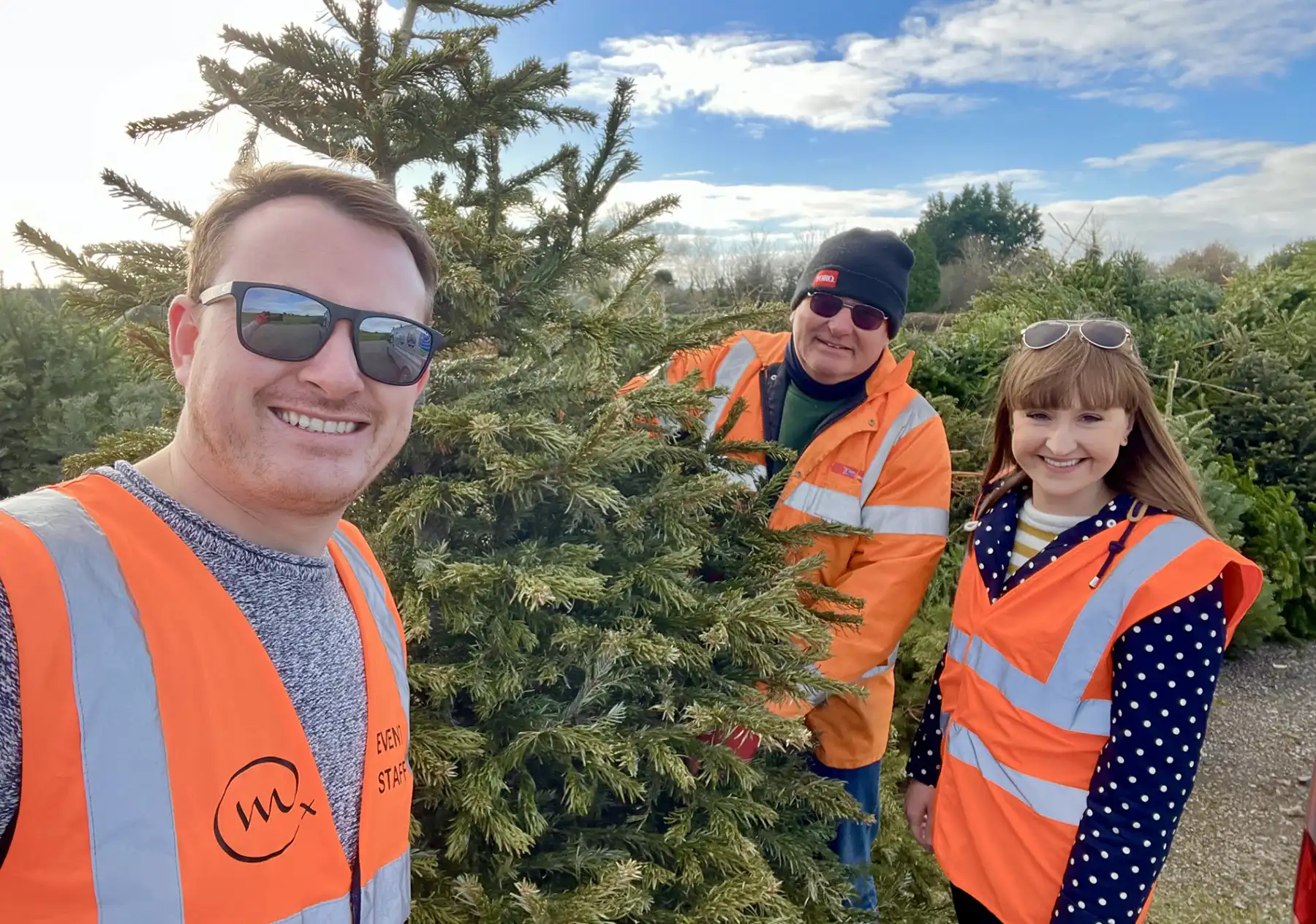 Christmas tree collections raise £12,500 for hospice charity The