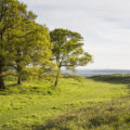 Visitors walking along the remains of the ramparts and ditches of the iron age hill fort at Badbury Rings, Dorset Picture: National Trust, James Dobson