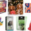 We have picked a range of gifts for all the family that won't break the bank!