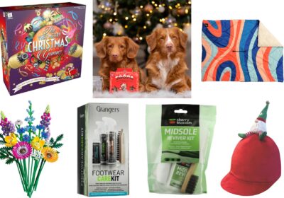 We have picked a range of gifts for all the family that won't break the bank!