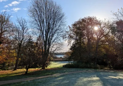 Amazing views have been restored at Upton Country Park. Picture: BCP Council