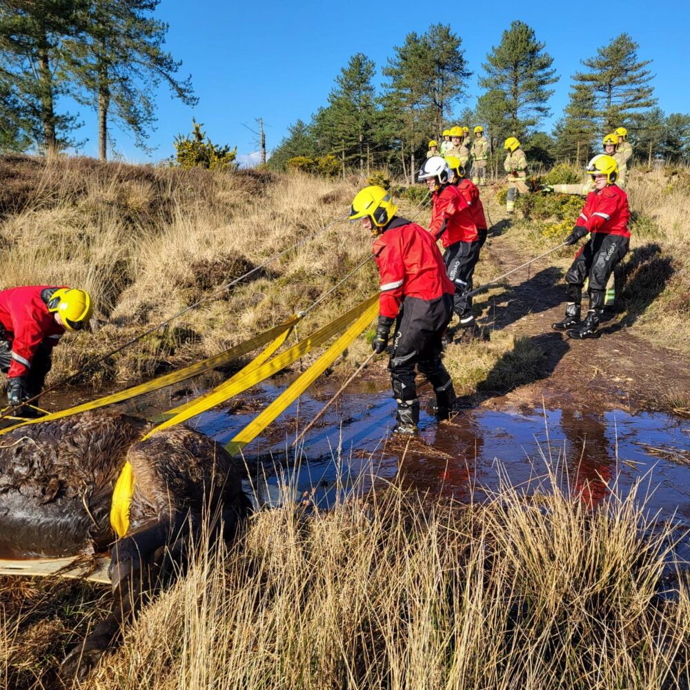 Crews had to use specialist equipment to rescue the pony Picture: Swanage Fire Station