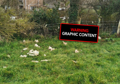 The attack was described as brutal by police Picture: Dorset Police Rural Crime Team