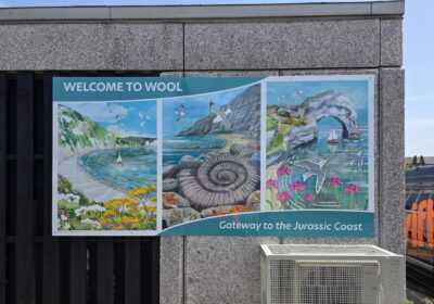 Local artist Maria Burns was commissioned to design both the information board and mural Picture: PCRP