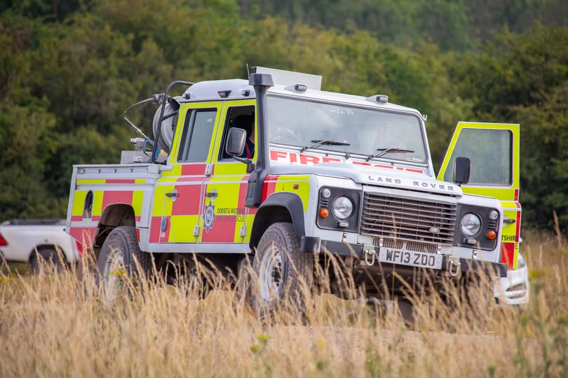 The cause of the fires have not yet been identified Picture: DWFireRescue
