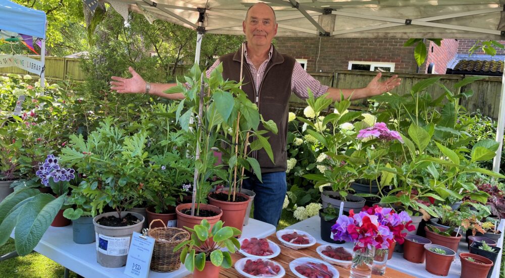 From plot to plate at Wimborne Food Festival Picture: Museum of East Dorset
