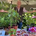 From plot to plate at Wimborne Food Festival Picture: Museum of East Dorset