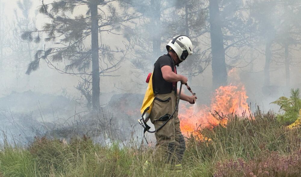 Crews have attended a record number of incidents this year already Picture: DWFRS
