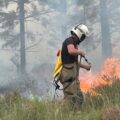 Crews have attended a record number of incidents this year already Picture: DWFRS