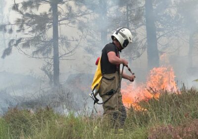 Crews have attended a record number of incidents this year already Picture: DWFRS