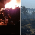 The Newton Heath blaze devasted heathland around the size of 30 football pitches Pictures: Swanage Fire Station