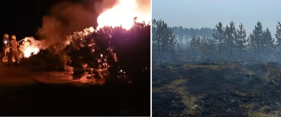 The Newton Heath blaze devasted heathland around the size of 30 football pitches Pictures: Swanage Fire Station