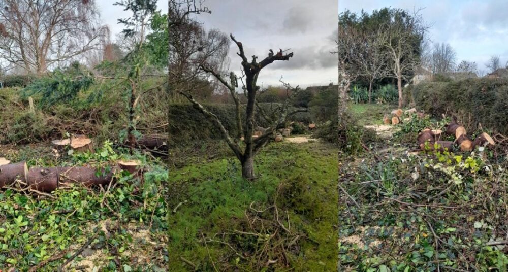 The state the garden was left in after the rogue traders "work" Picture: Dorset Council