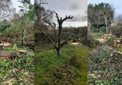 The state the garden was left in after the rogue traders "work" Picture: Dorset Council