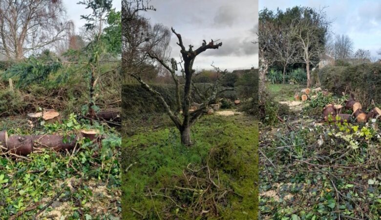 The state the garden was left in after the rogue traders "work" Picture: Dorset Council