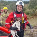 Ozzie was rescued by teams using a sled Picture: DWFR