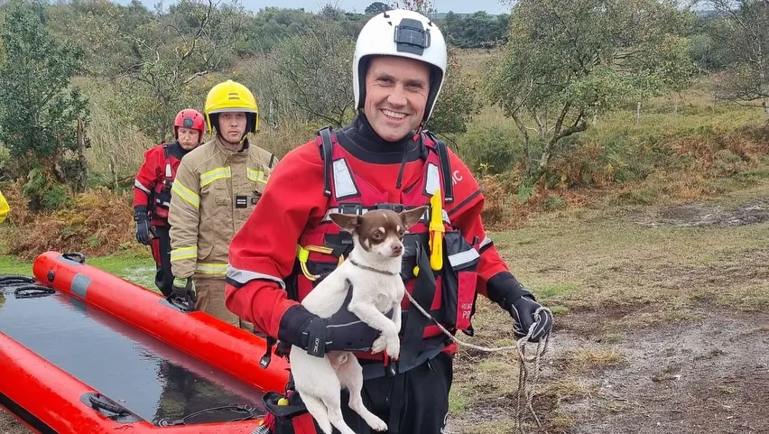 Ozzie was rescued by teams using a sled Picture: DWFR