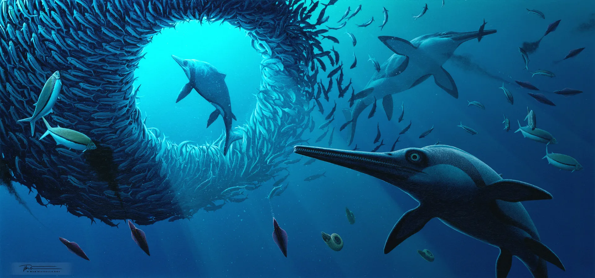 A reconstruction of what the Xiphodracon could have looked like Picture: Bob Nicholls
