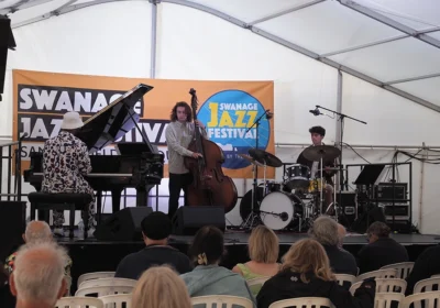 Sultan Stevenson Trio performing at the festival Picture: Bob Meyrick