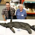 Experts Dr Dean Lomax and Professor Judy Massare with the skeleton Picture: Dr Dean Lomax