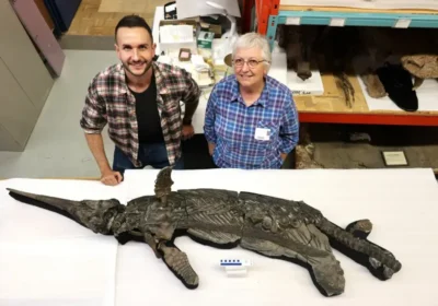 Experts Dr Dean Lomax and Professor Judy Massare with the skeleton Picture: Dr Dean Lomax