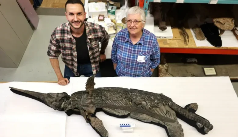 Experts Dr Dean Lomax and Professor Judy Massare with the skeleton Picture: Dr Dean Lomax